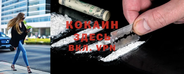 PSILOCYBIN Богданович