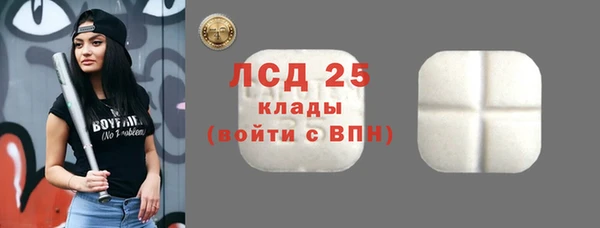 PSILOCYBIN Богданович