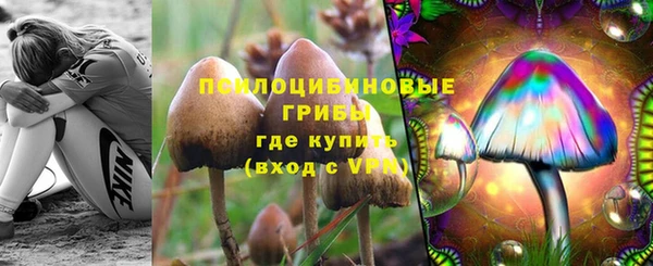 PSILOCYBIN Богданович