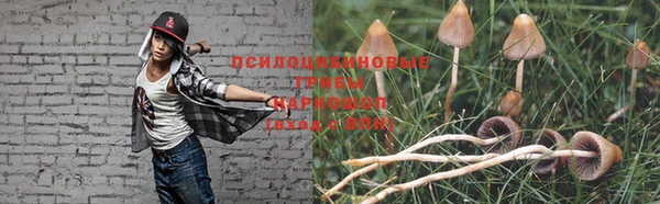 MDMA Premium VHQ Богородицк