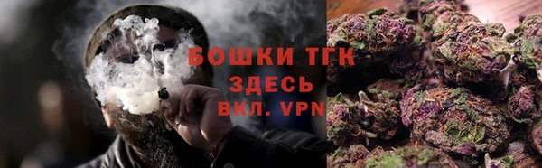 PSILOCYBIN Богданович